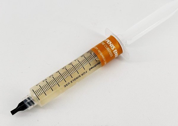 albino penis envy psilocybe cubensis liquid culture