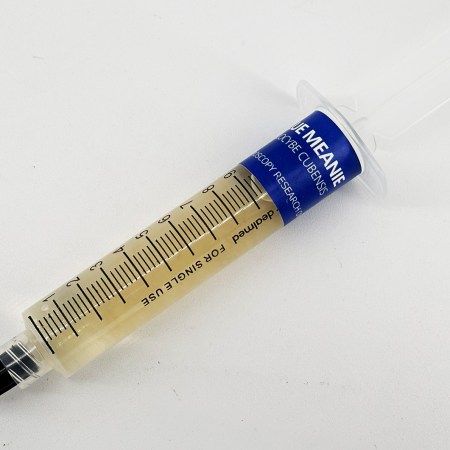 blue meanie psilocybe cubensis liquid culture