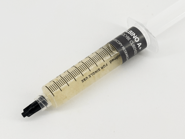 albino a plus a+ psilocybe cubensis liquid culture