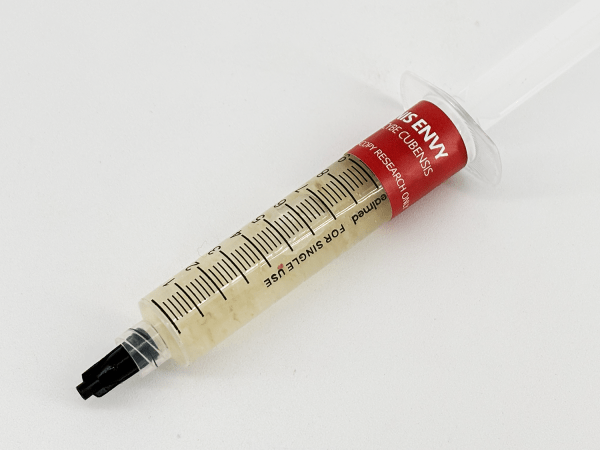 penis envy psilocybe cubensis liquid culture